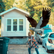 An alarmingly large bird attacks a weapon-wielding person.